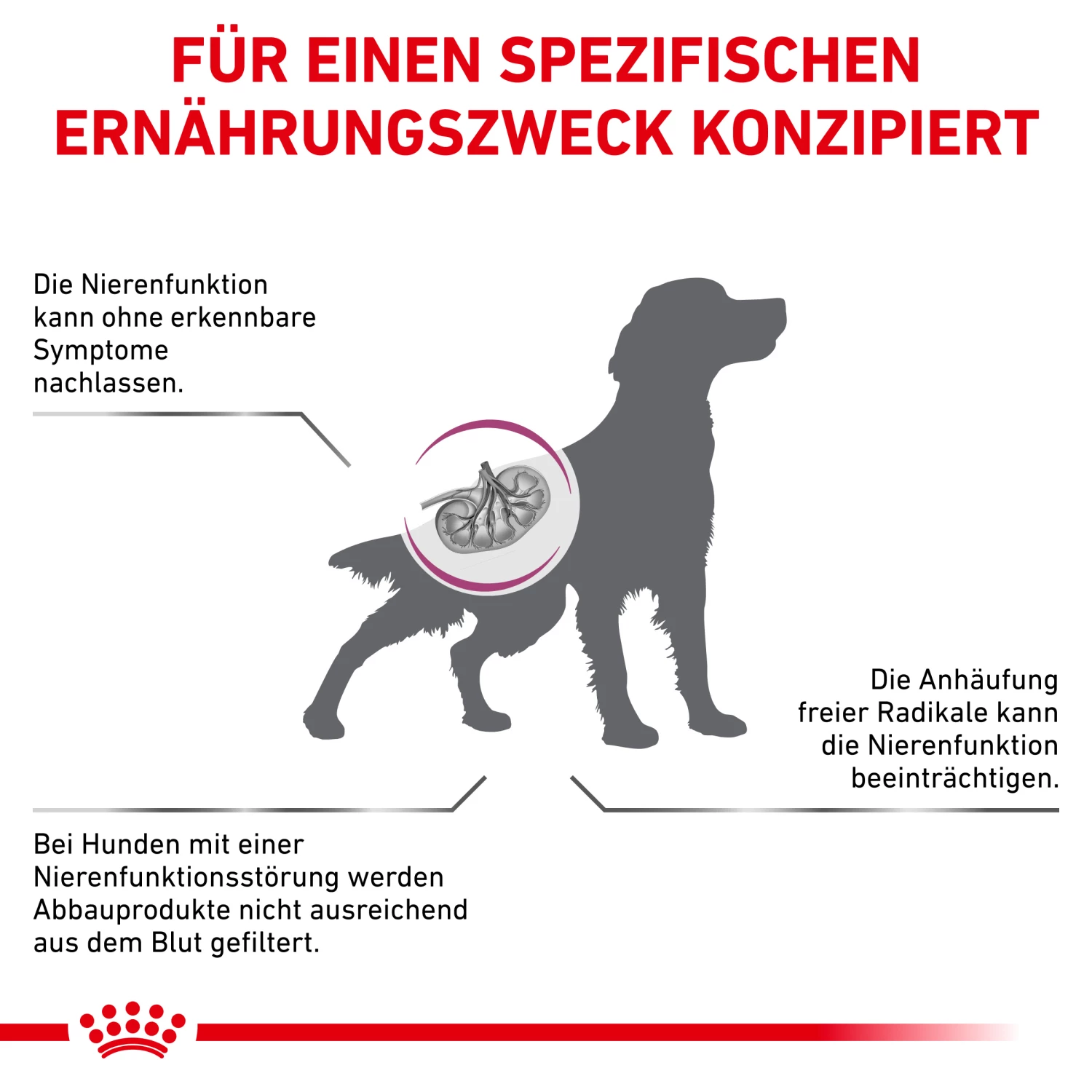 Royal Canin Early Renal Trockenfutter Hund 4 Royal Canin Early Renal Trockenfutter Hund – Bild 2