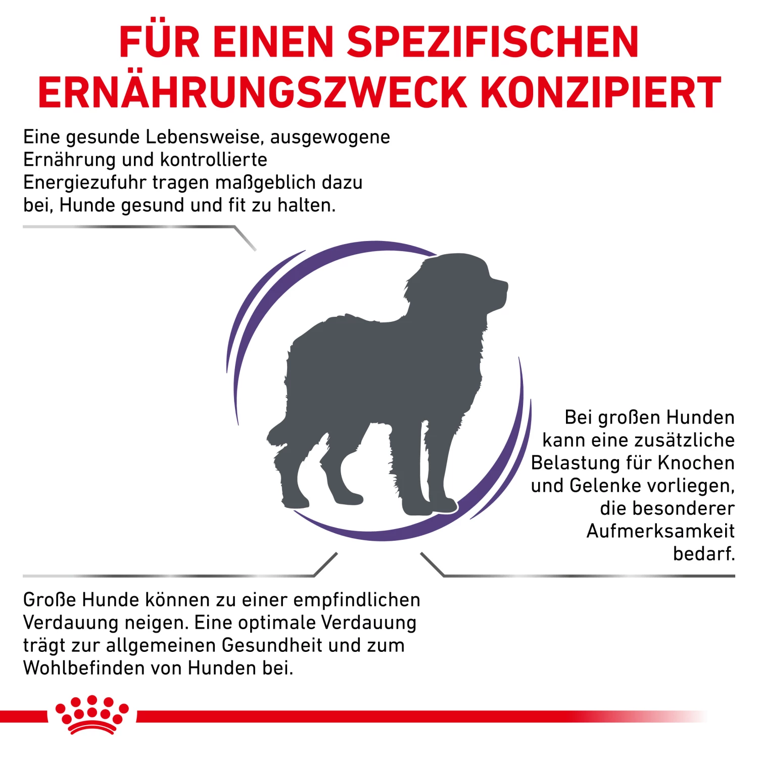 Royal Canin Adult Large Dogs Trockenfutter Hunde 3 Royal Canin Adult Large Dogs Trockenfutter Hunde – Bild 2