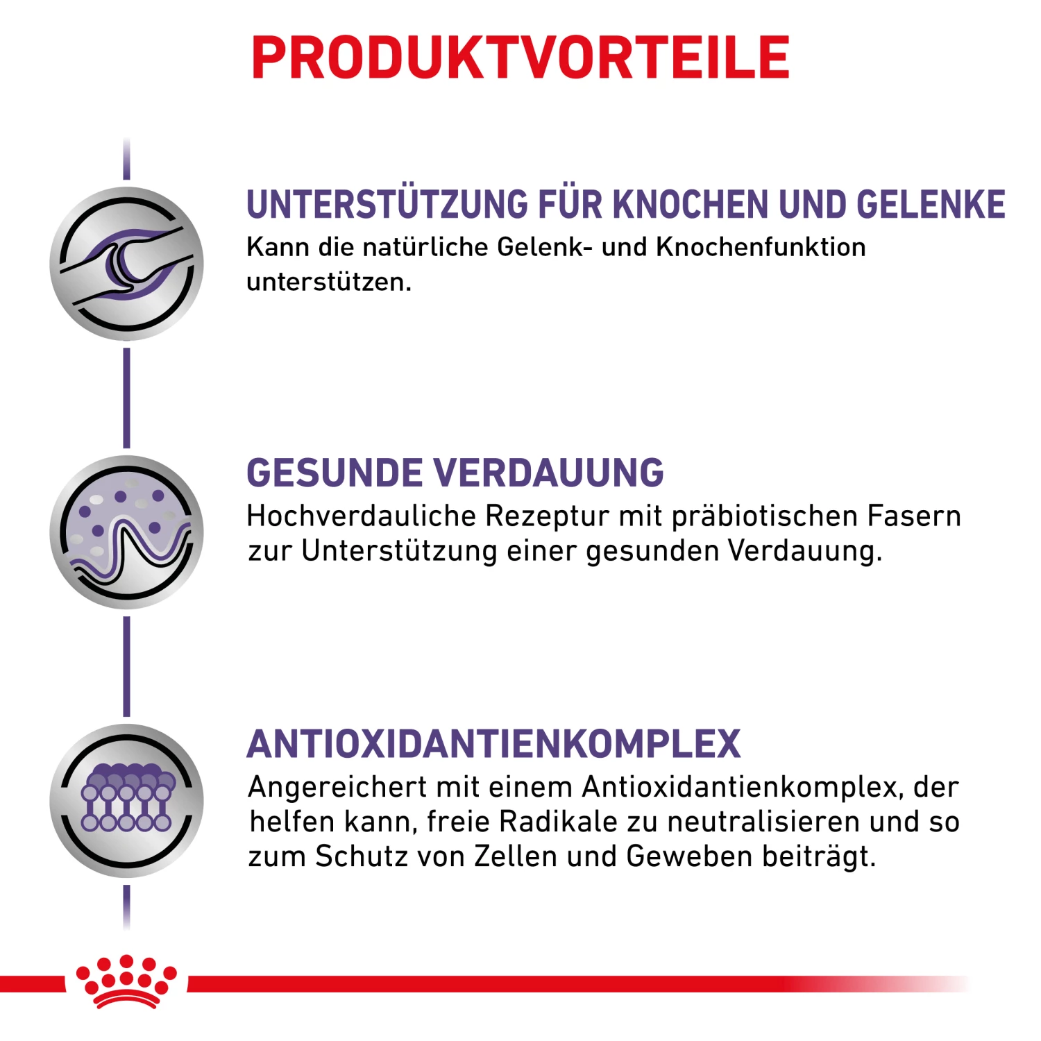 Royal Canin Adult Large Dogs Trockenfutter Hunde 5 Royal Canin Adult Large Dogs Trockenfutter Hunde – Bild 4