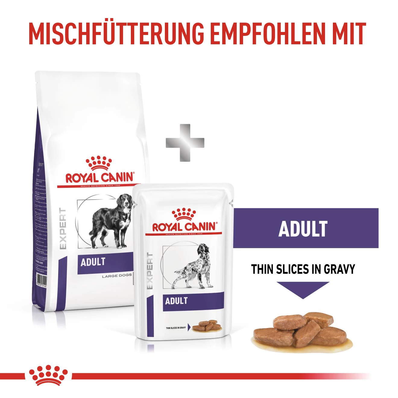 Royal Canin Adult Large Dogs Trockenfutter Hunde 7 Royal Canin Adult Large Dogs Trockenfutter Hunde – Bild 6