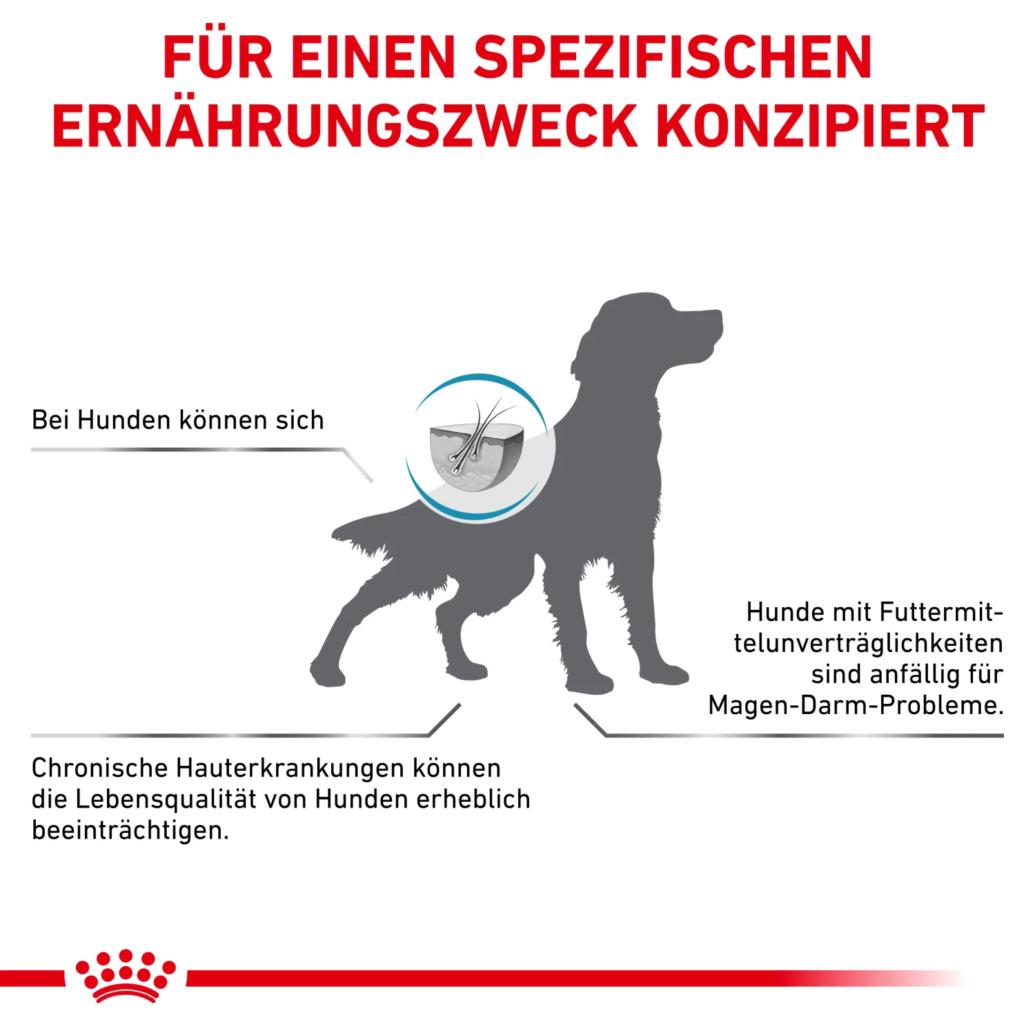 Royal Canin Hypoallergenic Trockenfutter Hund 9 Royal Canin Hypoallergenic Trockenfutter Hund – Bild 7