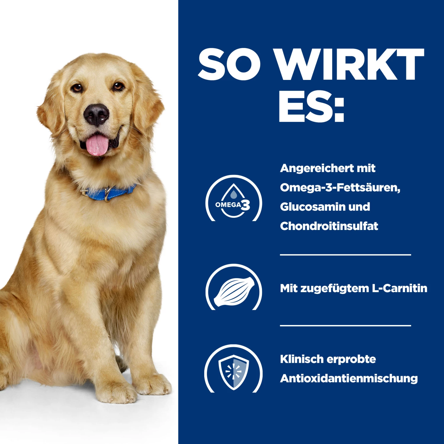Hill's Prescription Diet J/d Hundefutter Mit Huhn 5 Hill's Prescription Diet J/d Hundefutter Mit Huhn – Bild 3