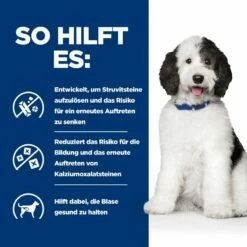 Hill's PRESCRIPTION DIET C/d Multicare Hundefutter Mit Huhn 10 Hill's PRESCRIPTION DIET C/d Multicare Hundefutter Mit Huhn -Dechra-verkauf 52742056937 hillsprescriptiondietcdmulticarenassfutterfrhunde12x370gdose 3