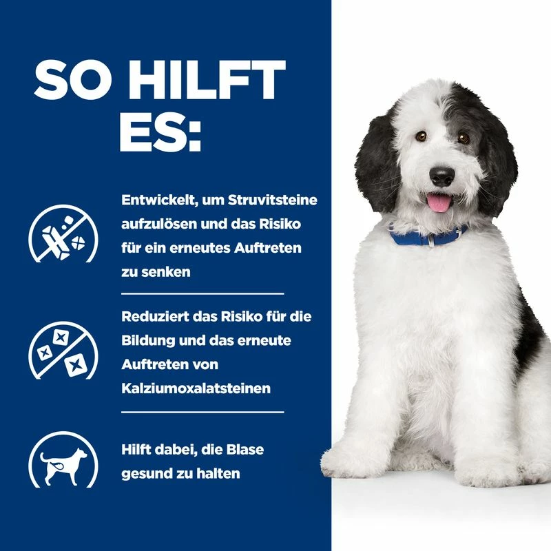 Hill's PRESCRIPTION DIET C/d Multicare Hundefutter Mit Huhn 5 Hill's PRESCRIPTION DIET C/d Multicare Hundefutter Mit Huhn – Bild 3