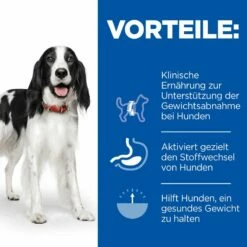 Hill's Canine Metabolic Dosenfutter 9 Hill's Canine Metabolic Dosenfutter -Dechra-verkauf 52742210100 keybenefits