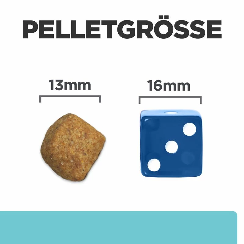 Hill's Feline T/d 4 Hill's Feline T/d – Bild 2