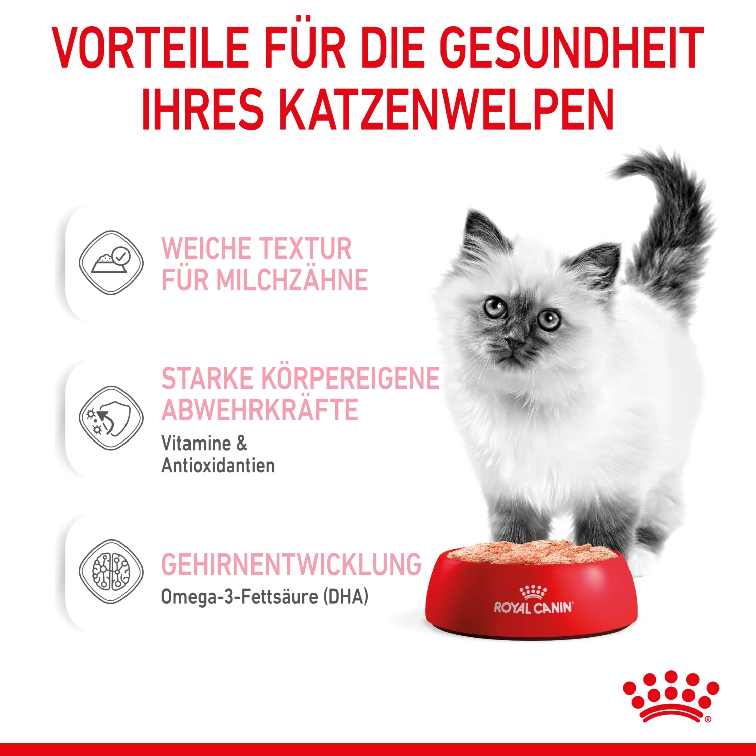 Royal Canin Kitten Nassfutter In Mousse 12 X 85 G 5 Royal Canin Kitten Nassfutter In Mousse 12 X 85 G – Bild 3