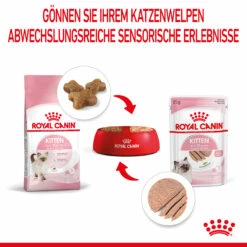 Royal Canin Kitten Nassfutter In Mousse 12 X 85 G 12 Royal Canin Kitten Nassfutter In Mousse 12 X 85 G -Dechra-verkauf 9003579003831 4505 5