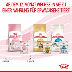 Royal Canin Kitten Nassfutter In Mousse 12 X 85 G 15 Royal Canin Kitten Nassfutter In Mousse 12 X 85 G -Dechra-verkauf 9003579003831 4505 8