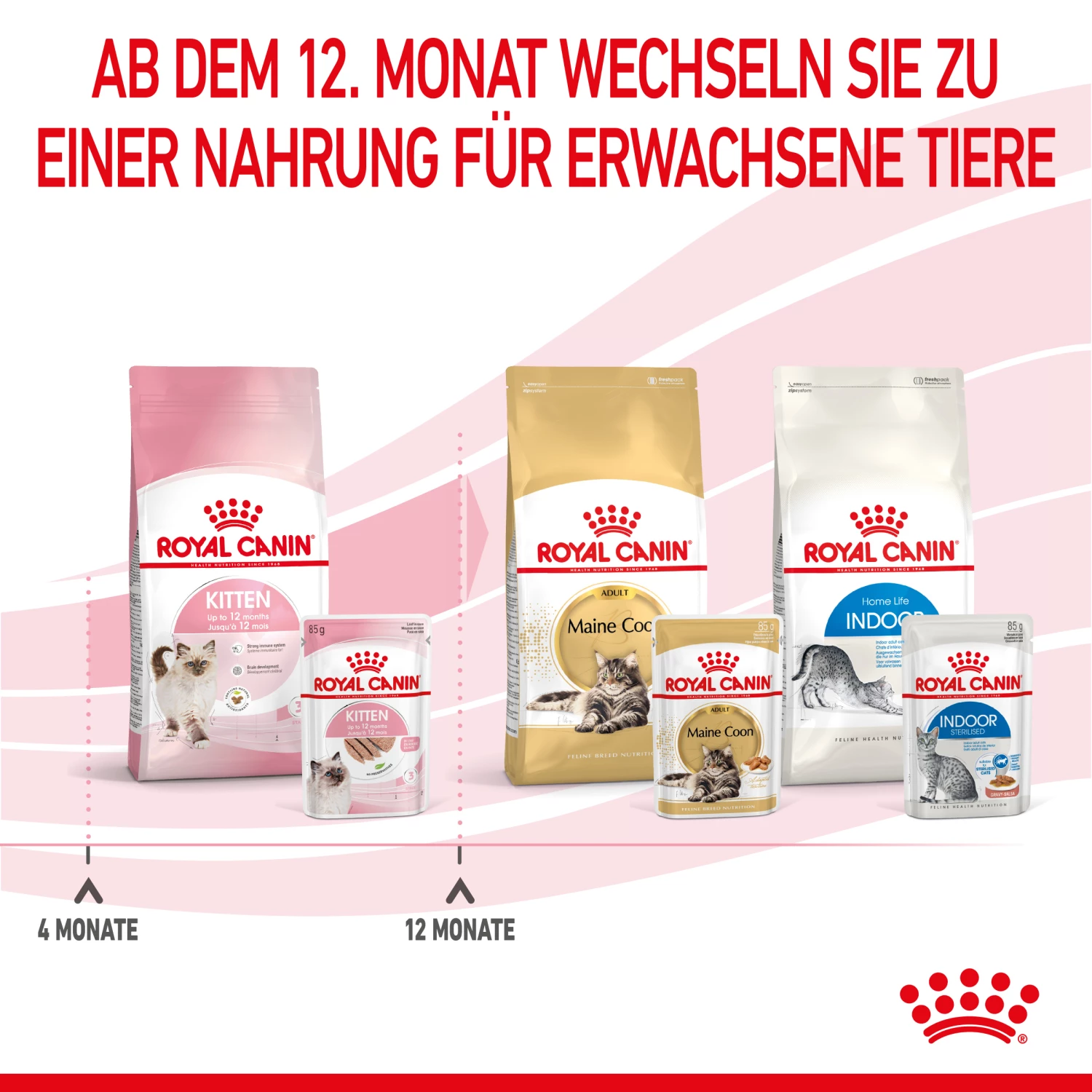 Royal Canin Kitten Nassfutter In Mousse 12 X 85 G 9 Royal Canin Kitten Nassfutter In Mousse 12 X 85 G – Bild 7