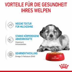Royal Canin Medium Puppy Welpenfutter Nassfutter 10 X 140 G 11 Royal Canin Medium Puppy Welpenfutter Nassfutter 10 X 140 G -Dechra-verkauf 9003579008324 4711 4