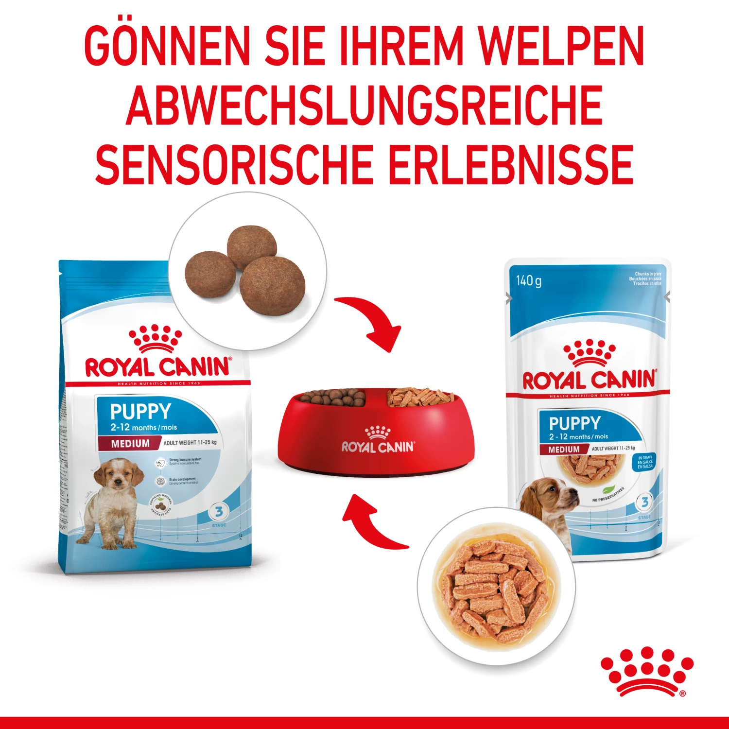 Royal Canin Medium Puppy Welpenfutter Nassfutter 10 X 140 G 6 Royal Canin Medium Puppy Welpenfutter Nassfutter 10 X 140 G – Bild 4