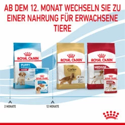 Royal Canin Medium Puppy Welpenfutter Nassfutter 10 X 140 G 15 Royal Canin Medium Puppy Welpenfutter Nassfutter 10 X 140 G -Dechra-verkauf 9003579008324 4711 8