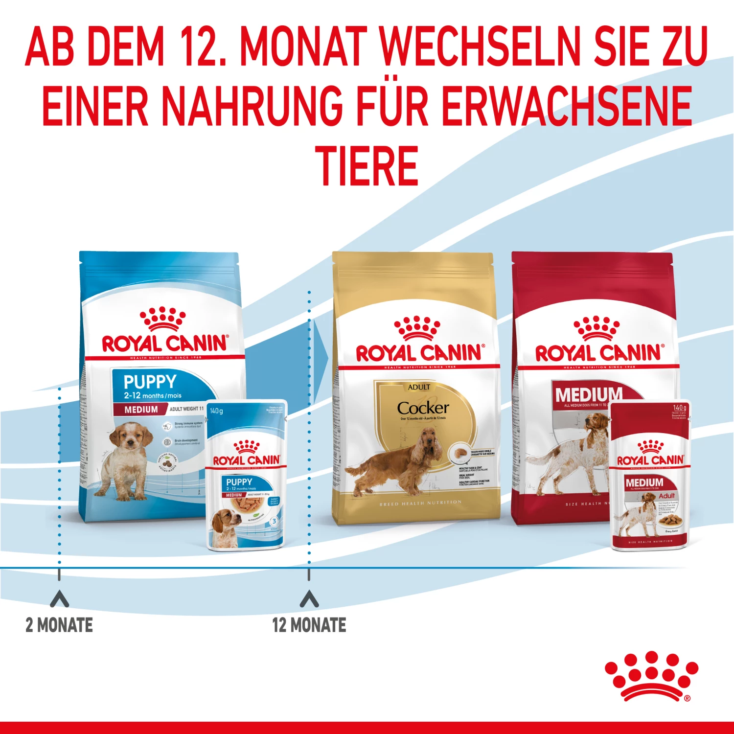 Royal Canin Medium Puppy Welpenfutter Nassfutter 10 X 140 G 9 Royal Canin Medium Puppy Welpenfutter Nassfutter 10 X 140 G – Bild 7