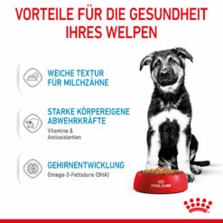 Royal Canin Maxi Puppy Welpenfutter Nass Für Große Hunde 11 Royal Canin Maxi Puppy Welpenfutter Nass Für Große Hunde -Dechra-verkauf 9003579008447 4721 4