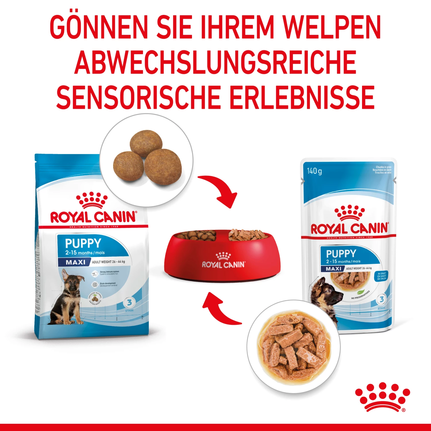 Royal Canin Maxi Puppy Welpenfutter Nass Für Große Hunde 6 Royal Canin Maxi Puppy Welpenfutter Nass Für Große Hunde – Bild 4