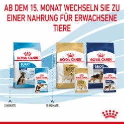Royal Canin Maxi Puppy Welpenfutter Nass Für Große Hunde 15 Royal Canin Maxi Puppy Welpenfutter Nass Für Große Hunde -Dechra-verkauf 9003579008447 4721 8