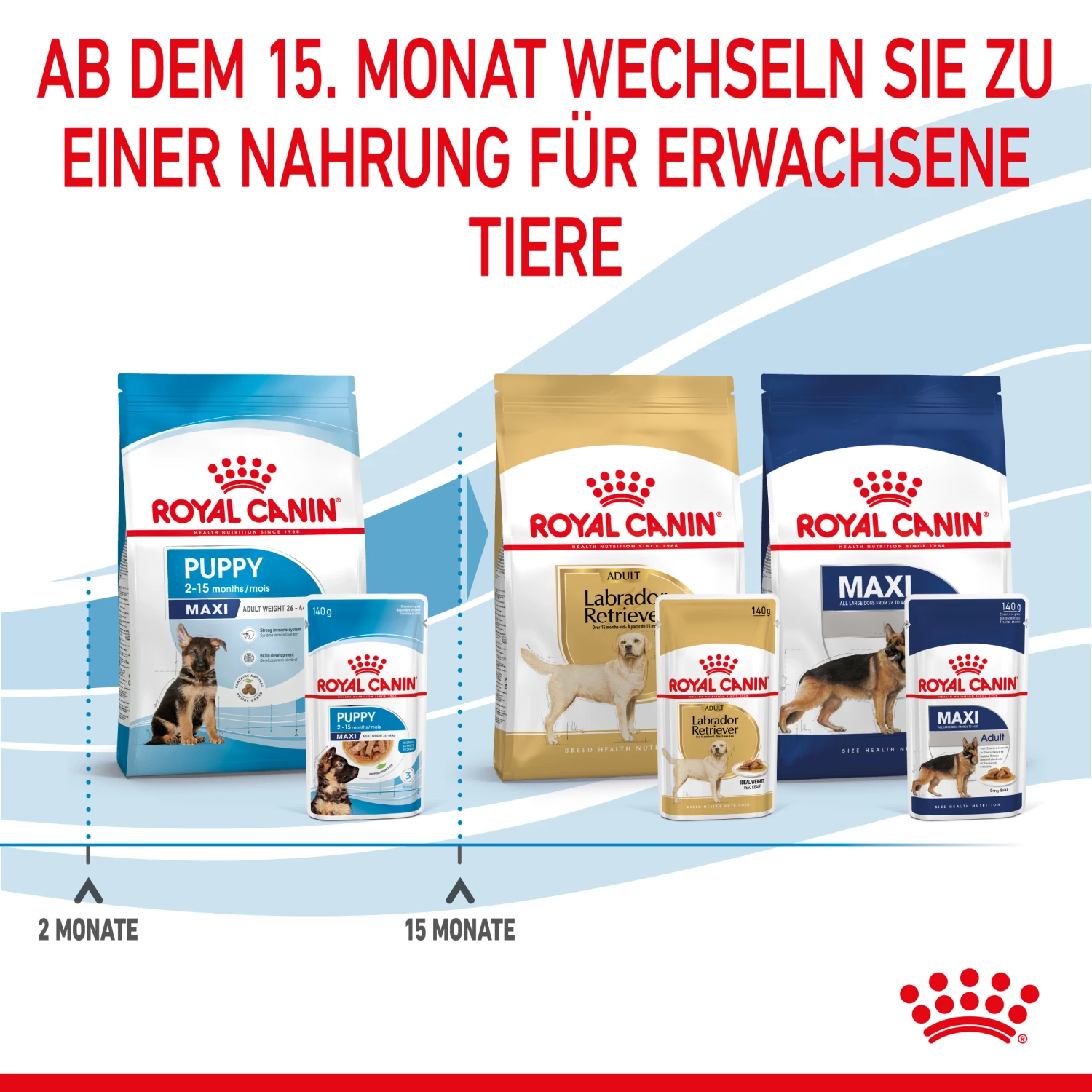Royal Canin Maxi Puppy Welpenfutter Nass Für Große Hunde 9 Royal Canin Maxi Puppy Welpenfutter Nass Für Große Hunde – Bild 7