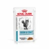 Royal Canin Skin & Coat Nassfutter Katze 12 X 85 G 2 Royal Canin Skin & Coat Nassfutter Katze 12 X 85 G -Dechra-verkauf 9003579011522 44 1