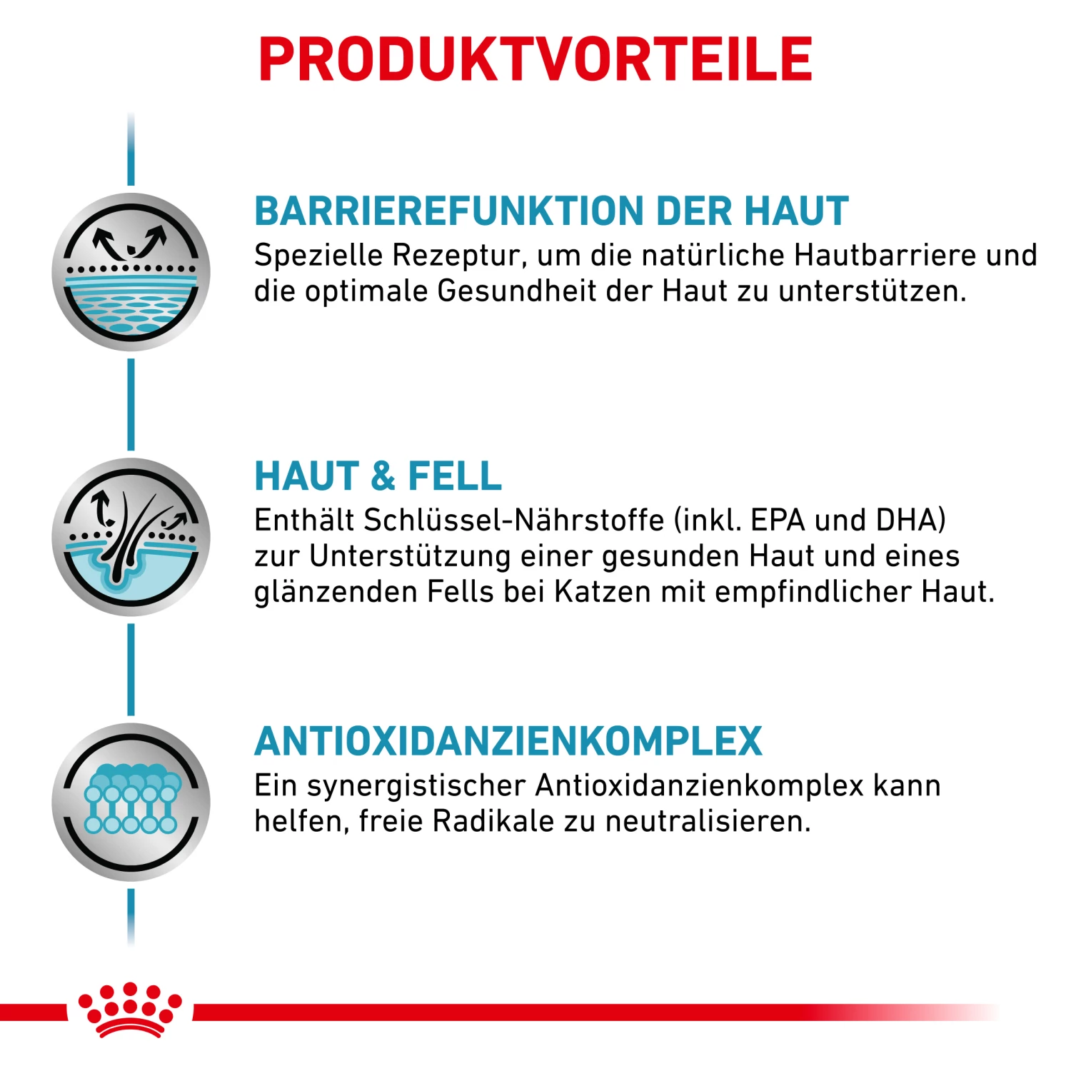 Royal Canin Skin & Coat Nassfutter Katze 12 X 85 G 5 Royal Canin Skin & Coat Nassfutter Katze 12 X 85 G – Bild 3