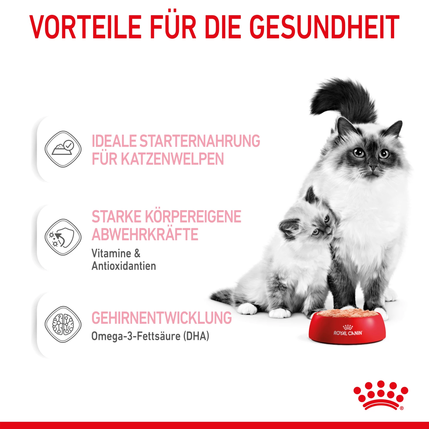 Royal Canin Mother & Babycat Mousse Nassfutter Katze 4 Royal Canin Mother & Babycat Mousse Nassfutter Katze – Bild 3