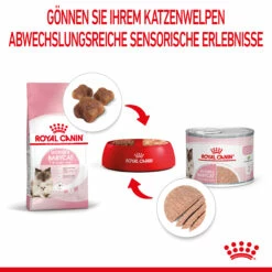 Royal Canin Mother & Babycat Mousse Nassfutter Katze 11 Royal Canin Mother & Babycat Mousse Nassfutter Katze -Dechra-verkauf 9003579019993 4551 5