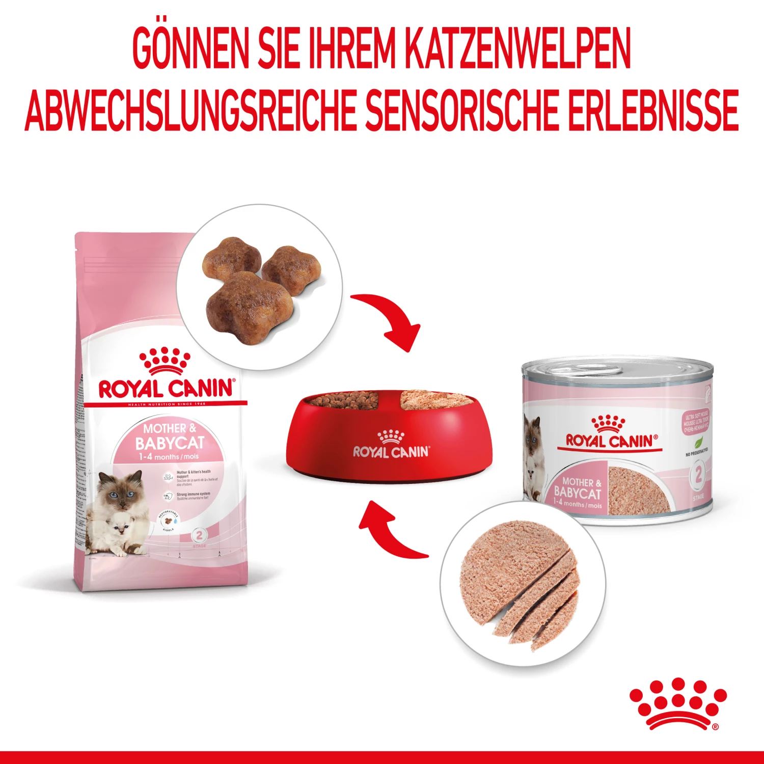 Royal Canin Mother & Babycat Mousse Nassfutter Katze 5 Royal Canin Mother & Babycat Mousse Nassfutter Katze – Bild 4