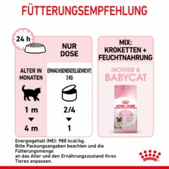 Royal Canin Mother & Babycat Mousse Nassfutter Katze 13 Royal Canin Mother & Babycat Mousse Nassfutter Katze -Dechra-verkauf 9003579019993 4551 7
