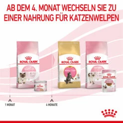 Royal Canin Mother & Babycat Mousse Nassfutter Katze 14 Royal Canin Mother & Babycat Mousse Nassfutter Katze -Dechra-verkauf 9003579019993 4551 8