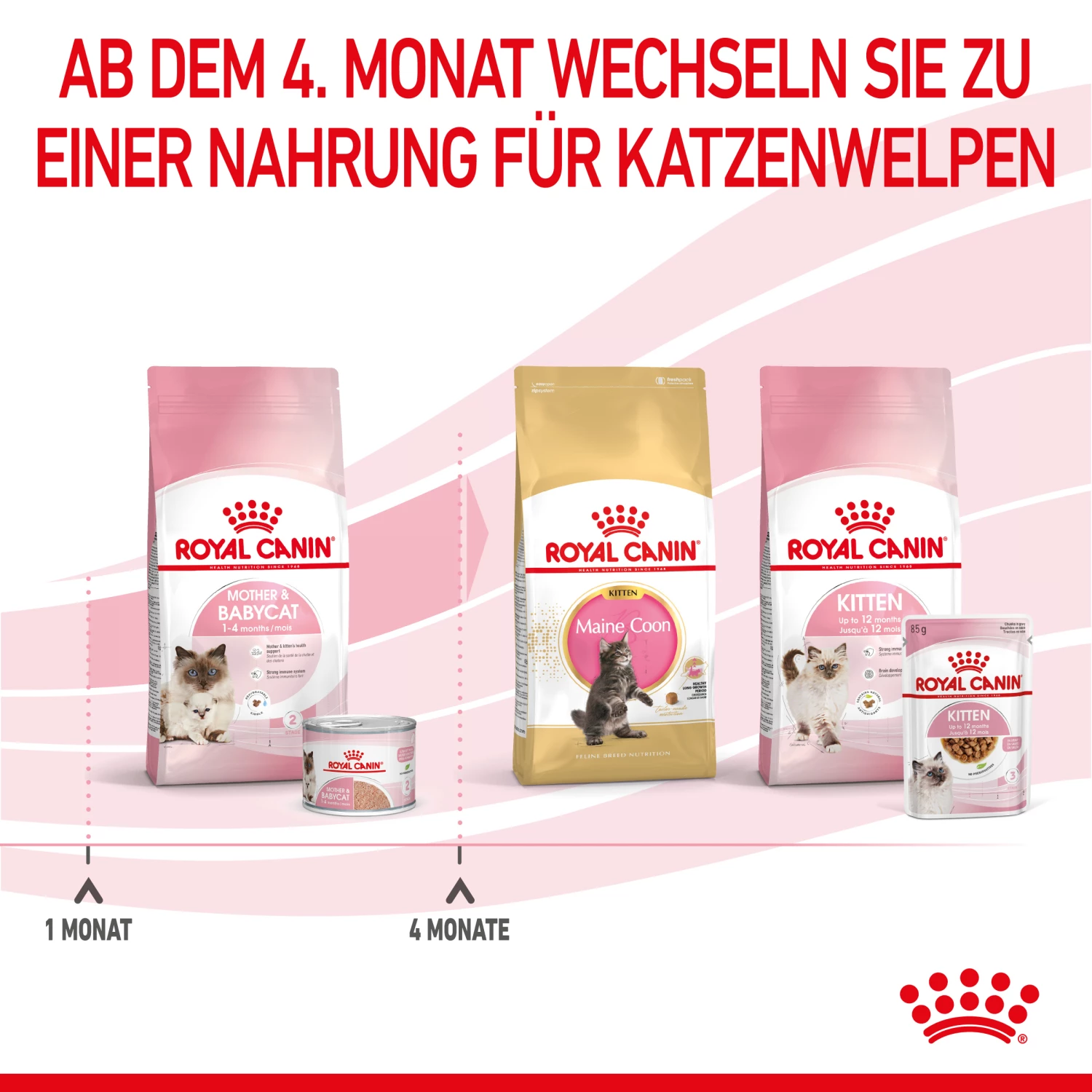 Royal Canin Mother & Babycat Mousse Nassfutter Katze 8 Royal Canin Mother & Babycat Mousse Nassfutter Katze – Bild 7