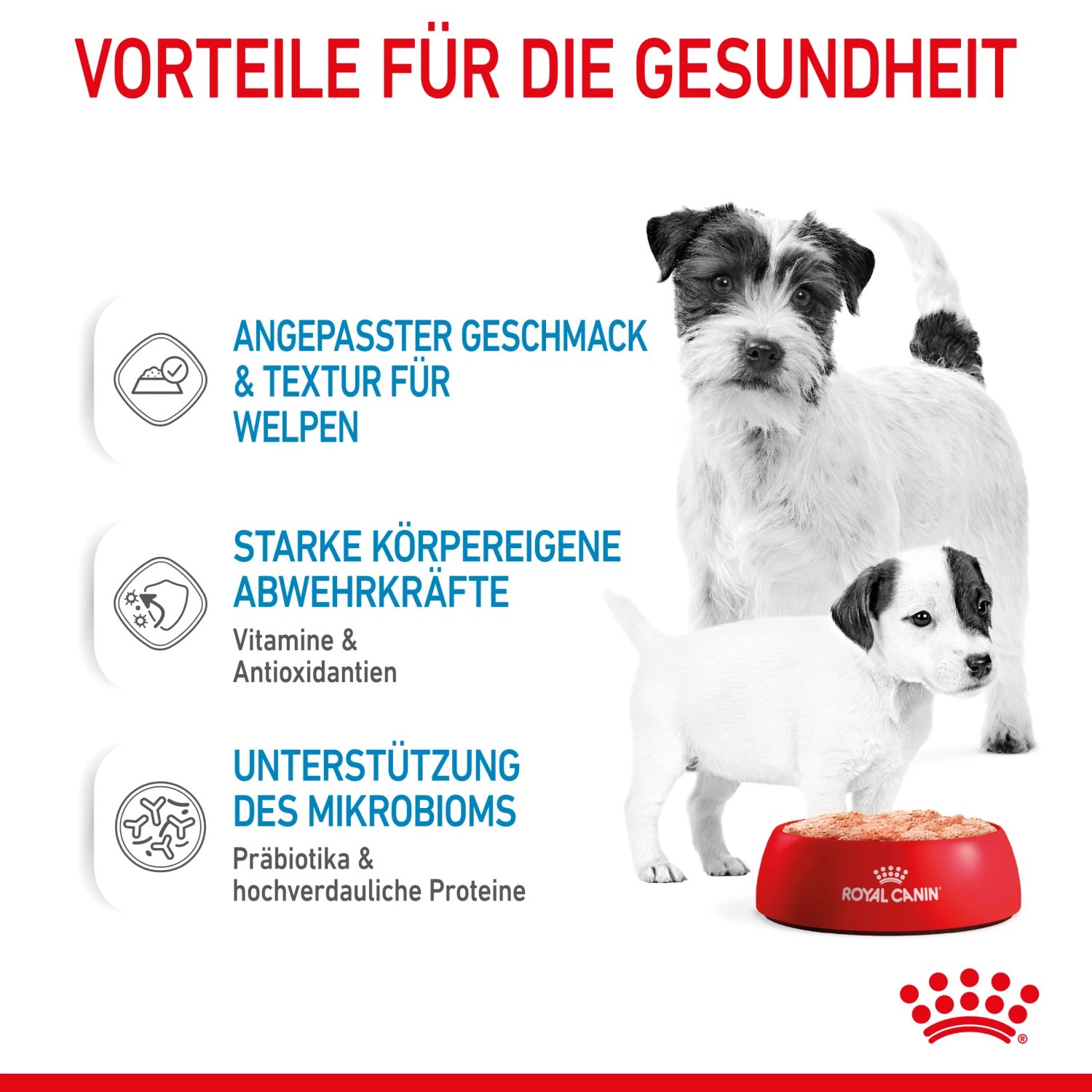 Royal Canin Starter Ultra Soft Mousse Mother & Babydog Nassfutter 12 X 195 G 5 Royal Canin Starter Ultra Soft Mousse Mother & Babydog Nassfutter 12 X 195 G – Bild 3