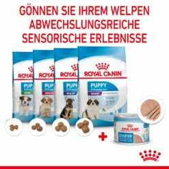 Royal Canin Starter Ultra Soft Mousse Mother & Babydog Nassfutter 12 X 195 G 12 Royal Canin Starter Ultra Soft Mousse Mother & Babydog Nassfutter 12 X 195 G -Dechra-verkauf 9003579020036 4300 51