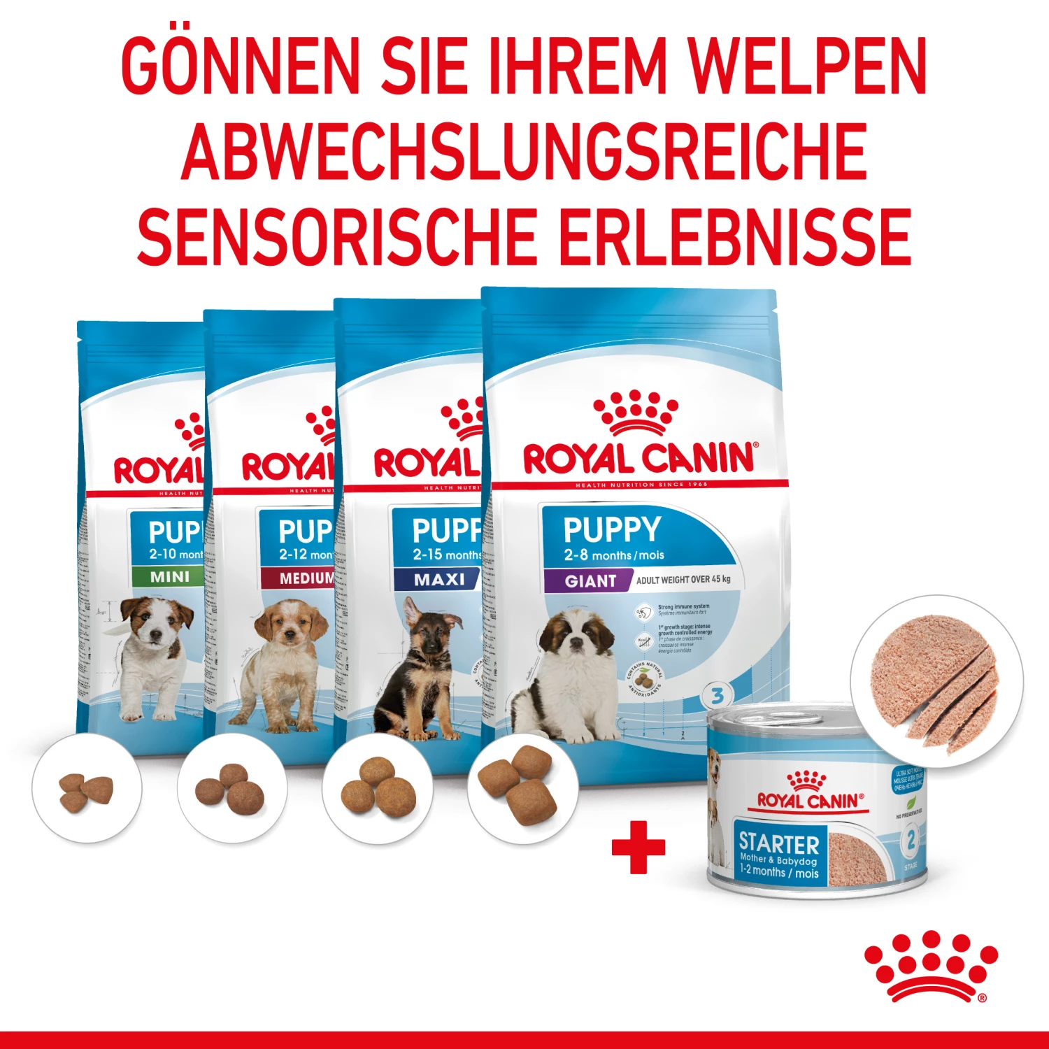 Royal Canin Starter Ultra Soft Mousse Mother & Babydog Nassfutter 12 X 195 G 6 Royal Canin Starter Ultra Soft Mousse Mother & Babydog Nassfutter 12 X 195 G – Bild 4