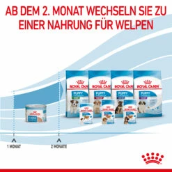 Royal Canin Starter Ultra Soft Mousse Mother & Babydog Nassfutter 12 X 195 G 15 Royal Canin Starter Ultra Soft Mousse Mother & Babydog Nassfutter 12 X 195 G -Dechra-verkauf 9003579020036 4300 81