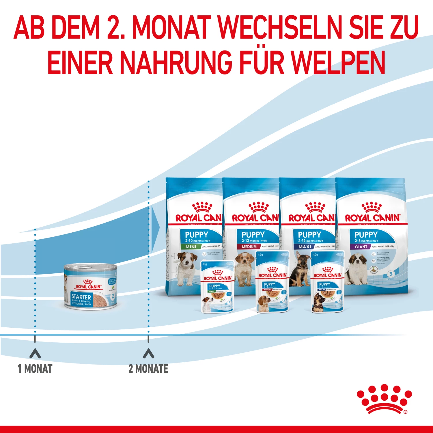 Royal Canin Starter Ultra Soft Mousse Mother & Babydog Nassfutter 12 X 195 G 9 Royal Canin Starter Ultra Soft Mousse Mother & Babydog Nassfutter 12 X 195 G – Bild 7