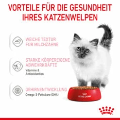 Royal Canin Kitten Nassfutter In Soße Für Kätzchen 12 X 85 G -Dechra-verkauf 9003579308745 4501 5