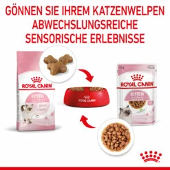 Royal Canin Kitten Nassfutter In Soße Für Kätzchen 12 X 85 G -Dechra-verkauf 9003579308745 4501 6