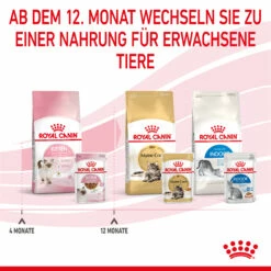 Royal Canin Kitten Nassfutter In Soße Für Kätzchen 12 X 85 G -Dechra-verkauf 9003579308745 4501 9