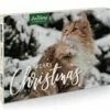 AniForte Adventskalender 2023 Für Katzen -Dechra-verkauf ak1