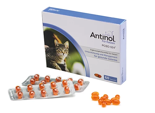 Antinol Für Katzen 60 Kapseln 3 Antinol Für Katzen 60 Kapseln