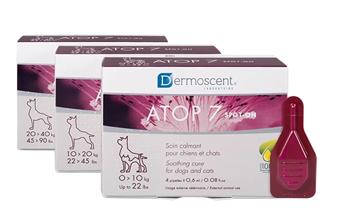 Dermoscent Atop 7 Spot-on Für Hund Und Katze 3 Dermoscent Atop 7 Spot-on Für Hund Und Katze