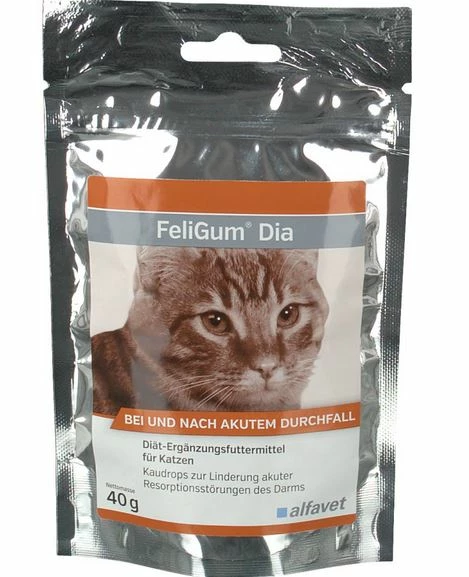 FeliGum Dia 3 FeliGum Dia