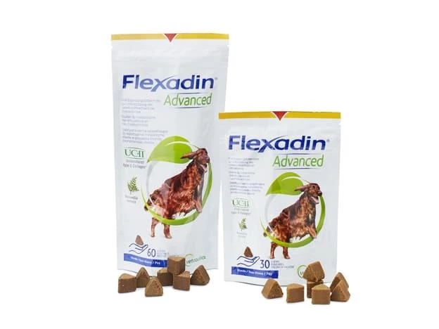 Vetoquinol Flexadin Advanced Für Hunde 3 Vetoquinol Flexadin Advanced Für Hunde