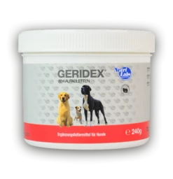 Nutri Labs GERIDEX - 60 Kautabletten