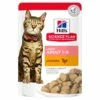 Hill's Science Plan Feline Light Adult Katzenfutter Frischebeutel Huhn 1 Hill's Science Plan Feline Light Adult Katzenfutter Frischebeutel Huhn -Dechra-verkauf lightadultkatzenfutterfrischebeutel