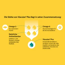 Boehringer Ingelheim Viacutan® Plus Doser Für Hunde Und Katzen 7 Boehringer Ingelheim Viacutan® Plus Doser Für Hunde Und Katzen -Dechra-verkauf p210159 viacutan plus grafikzusammensetzung 1000x1000 k11