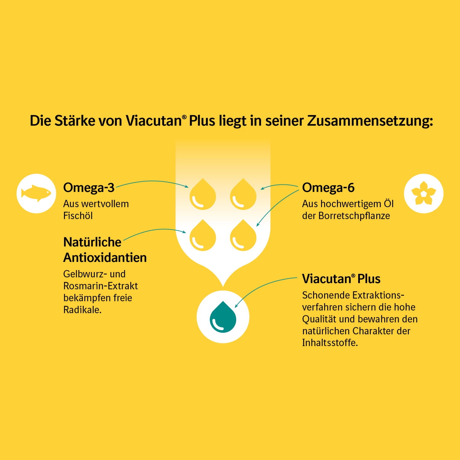 Boehringer Ingelheim Viacutan® Plus Doser Für Hunde Und Katzen 5 Boehringer Ingelheim Viacutan® Plus Doser Für Hunde Und Katzen – Bild 3