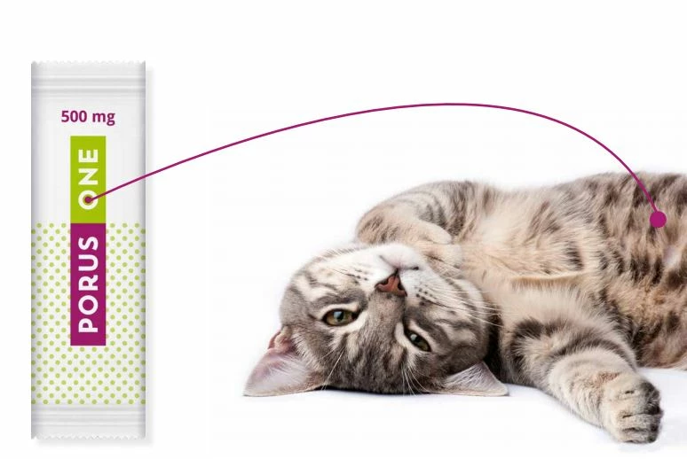 Porus One 3 Porus One – Bild 2