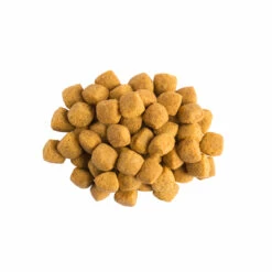 Purina PRO PLAN Veterinary Diets EN Gastrointestinal Hund -Dechra-verkauf ppvdcanineen4x15kg 2500px 300dpikibbles